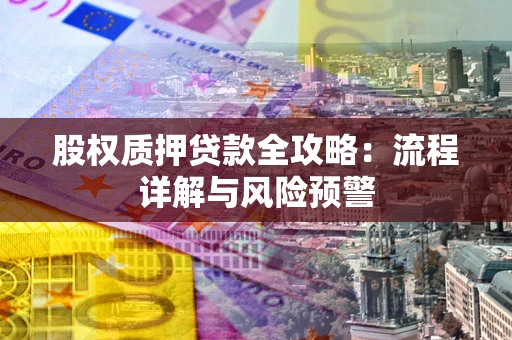 北京股权质押贷款全攻略：流程详解与风险预警