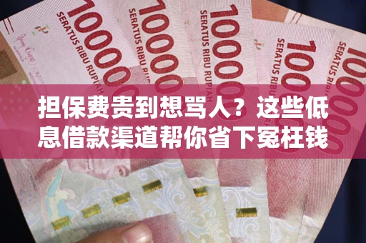 北京担保费贵到想骂人？这些低息借款渠道帮你省下冤枉钱