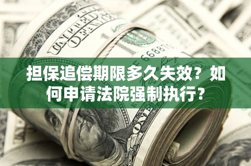 北京担保追偿期限多久失效？如何申请法院强制执行？
